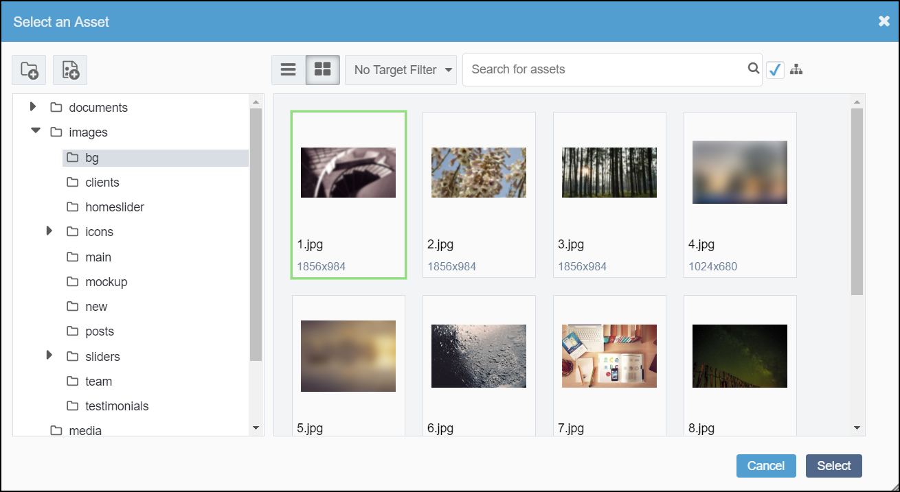 Select an Asset Dialog