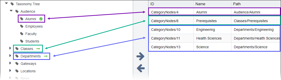 Associated Categories