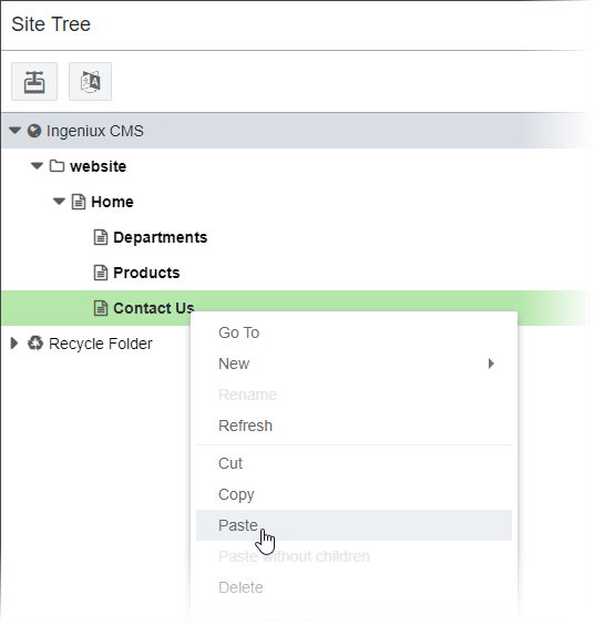 Context Menu: Paste Page