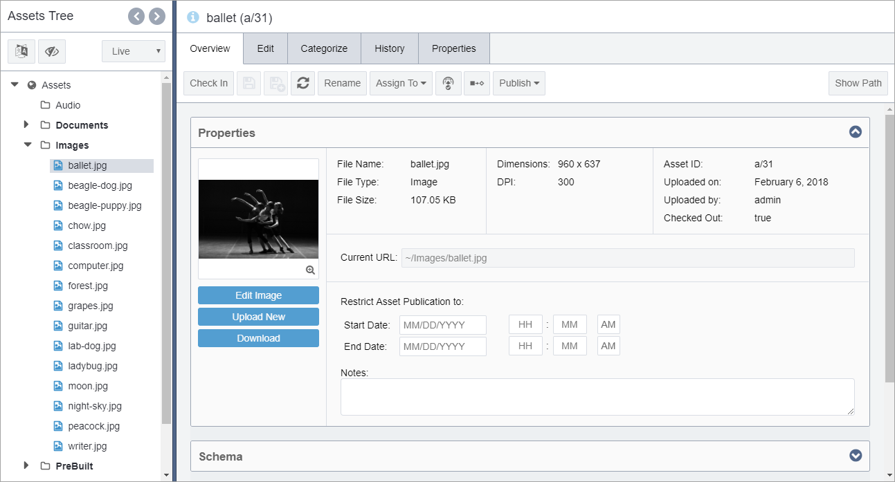 Asset View