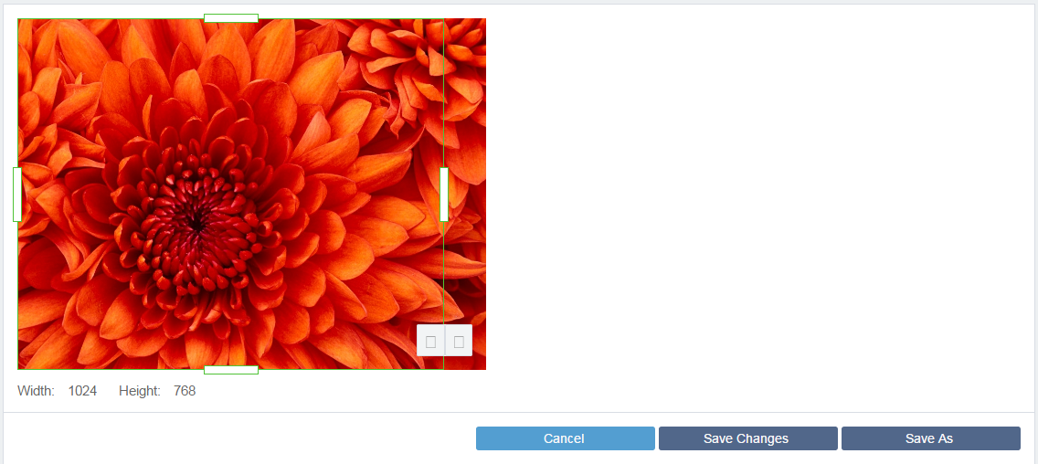 Cropping Images
