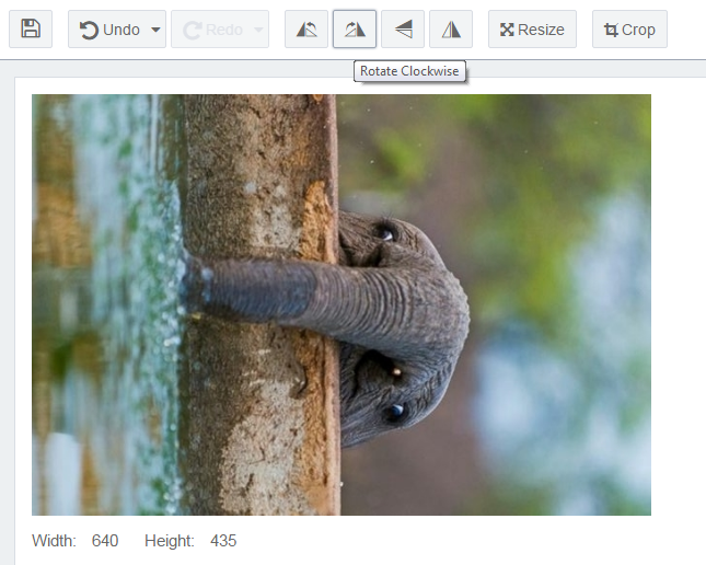 Rotate Images Counter-Clockwise