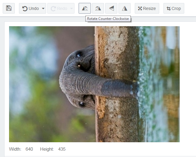Editing Image: Rotate Clockwise