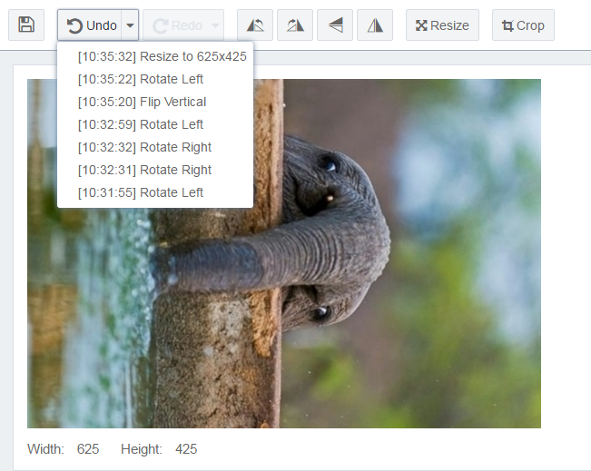 Undoing Image Edits