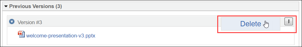 Delete Previous Document Version