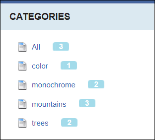 Filter Gallery Images by Category