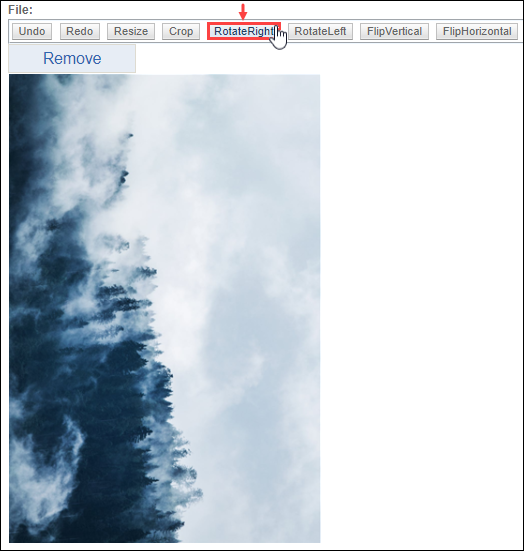 Rotate Image Right