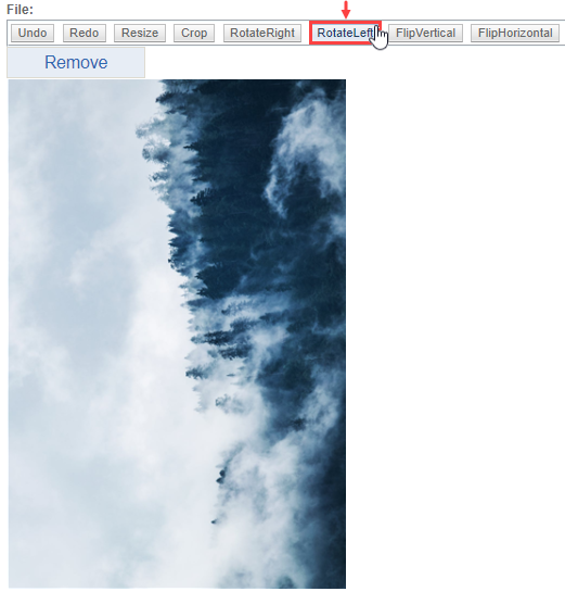 Rotate Image Left