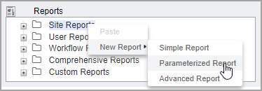 Parameterized Report