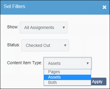 Set Filters Content Item Type