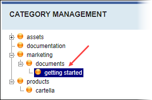 Dropped Category Becomes Child