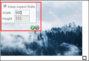 Resize image via Width and Height Fields