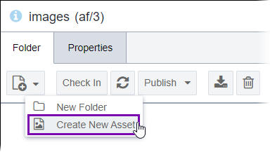 New > Create New Asset