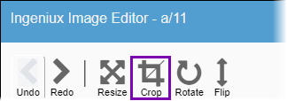 Crop Image Button