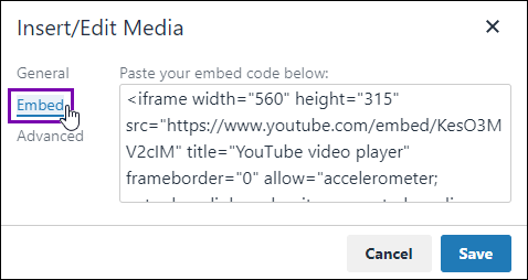 Embed Tab of Insert/Edit Media Dialog