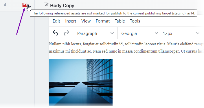 Asset File Not Marked for Publish in Asset Element