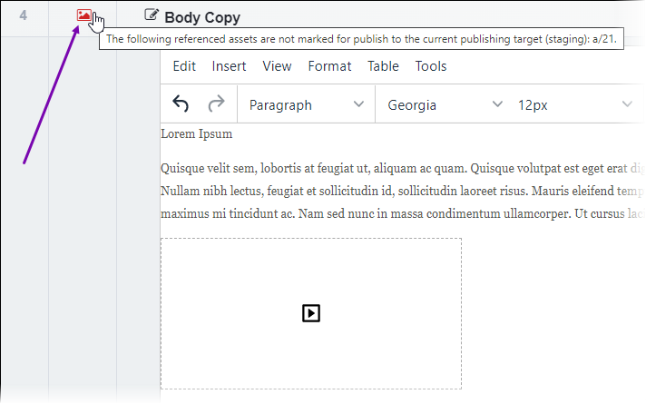 Asset File Not Marked for Publish in Asset Element
