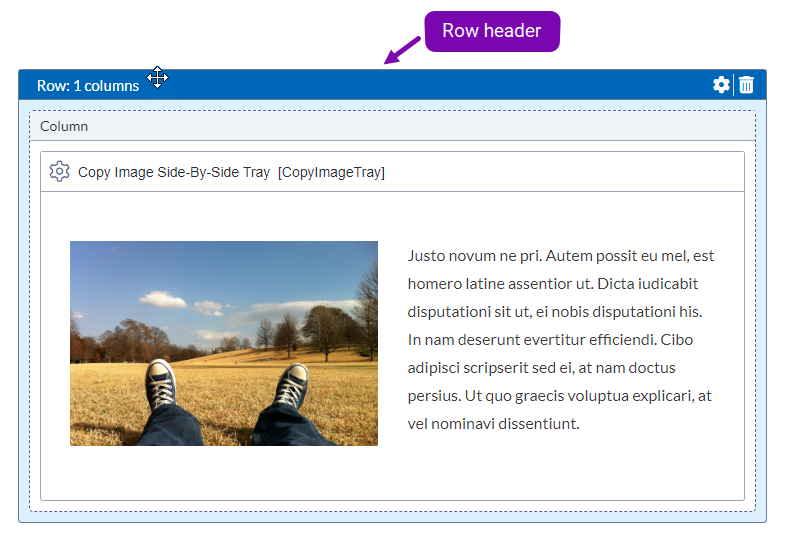 Row Layout in Page Builder Presentation