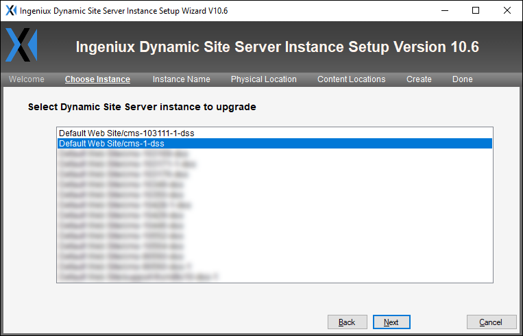 CMS 10.6 DSS Choose Instance Screen