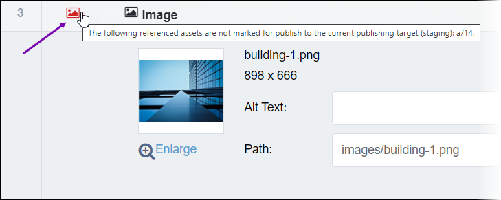 Asset File Not Marked for Publish in Asset Element